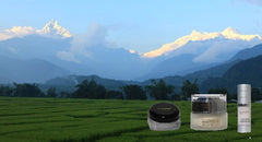 Travel/Trial Size